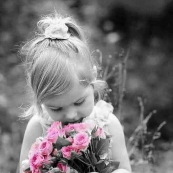 Meet your Posher, Pamela - Picture 1 of 1